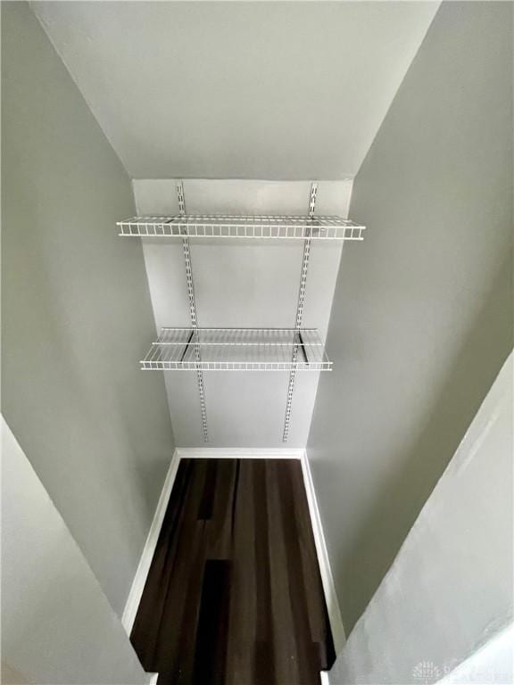 walk in closet featuring wood finished floors