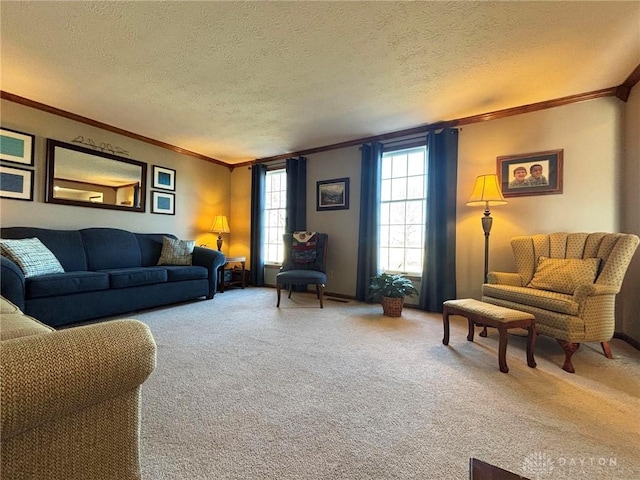 carpeted living room with crown molding and a textured ceiling