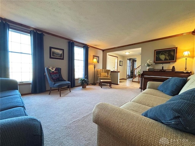 living room featuring crown molding, carpet, a wealth of natural light, and a textured ceiling