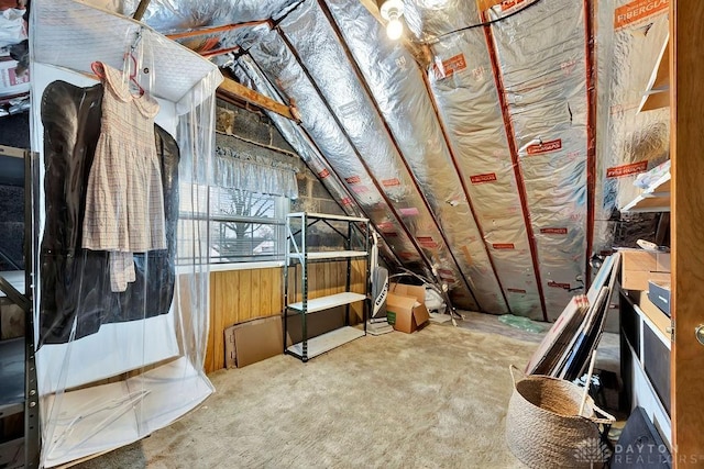 view of attic