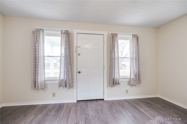 entryway featuring baseboards, a healthy amount of sunlight, and wood finished floors