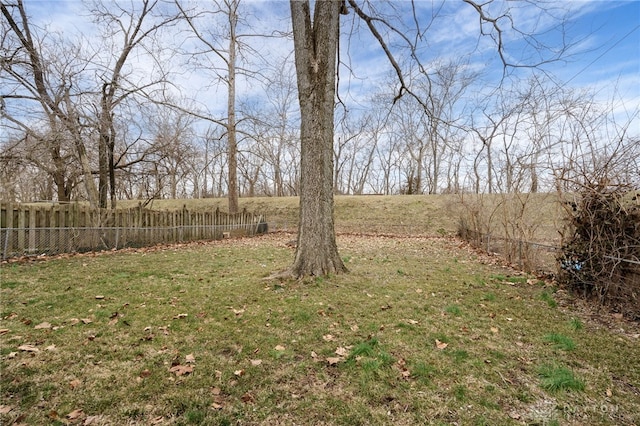 view of yard featuring fence