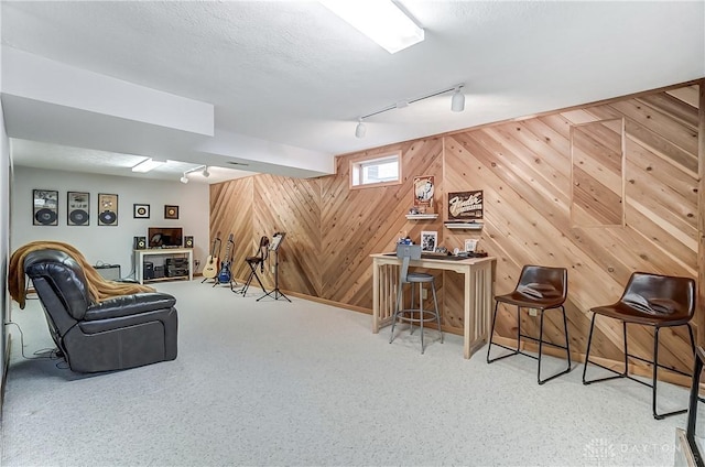 living area with wooden walls, rail lighting, a textured ceiling, and carpet floors