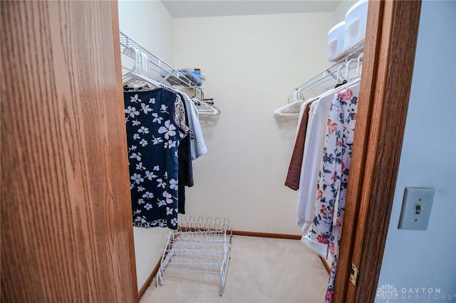 spacious closet with carpet