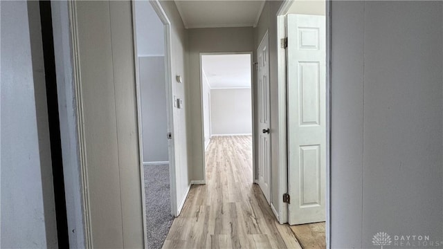 corridor featuring light wood-style flooring and ornamental molding