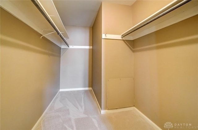 spacious closet with carpet floors