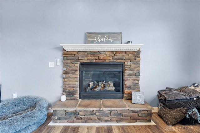 room details with a stone fireplace and wood finished floors