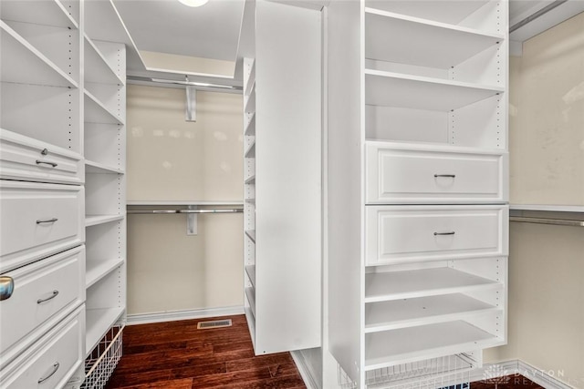 walk in closet with visible vents and dark wood-style flooring