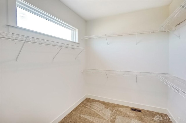 spacious closet featuring light carpet and visible vents