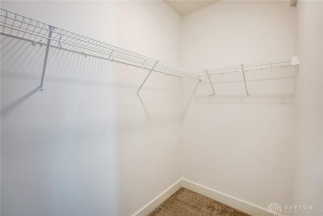 spacious closet with carpet flooring