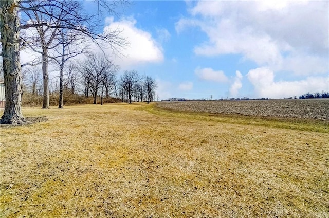 view of yard featuring a rural view