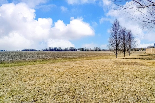 view of yard with a rural view