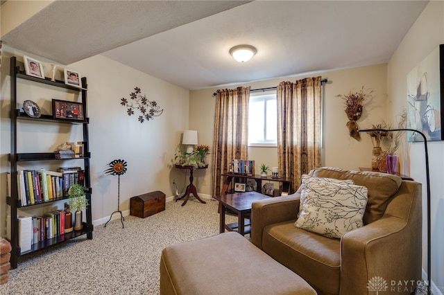 sitting room featuring baseboards and carpet floors