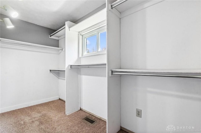 spacious closet featuring visible vents and carpet