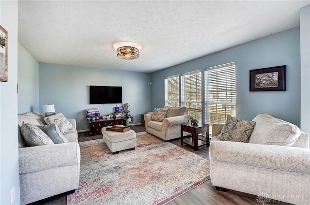 living room featuring a textured ceiling and wood finished floors