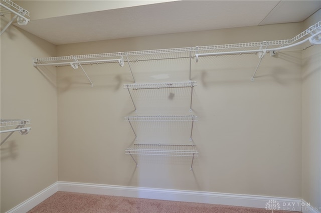 spacious closet with carpet floors