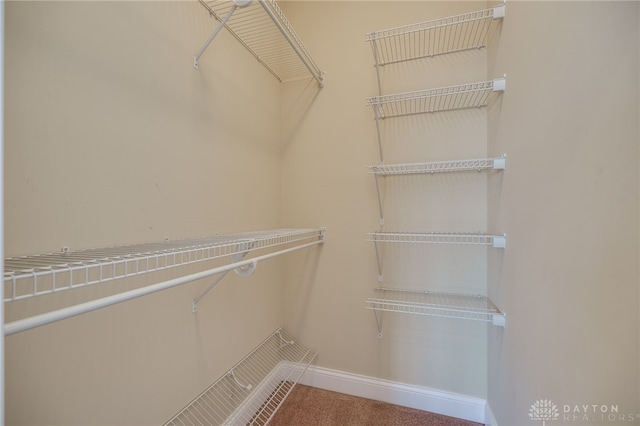 spacious closet with carpet floors