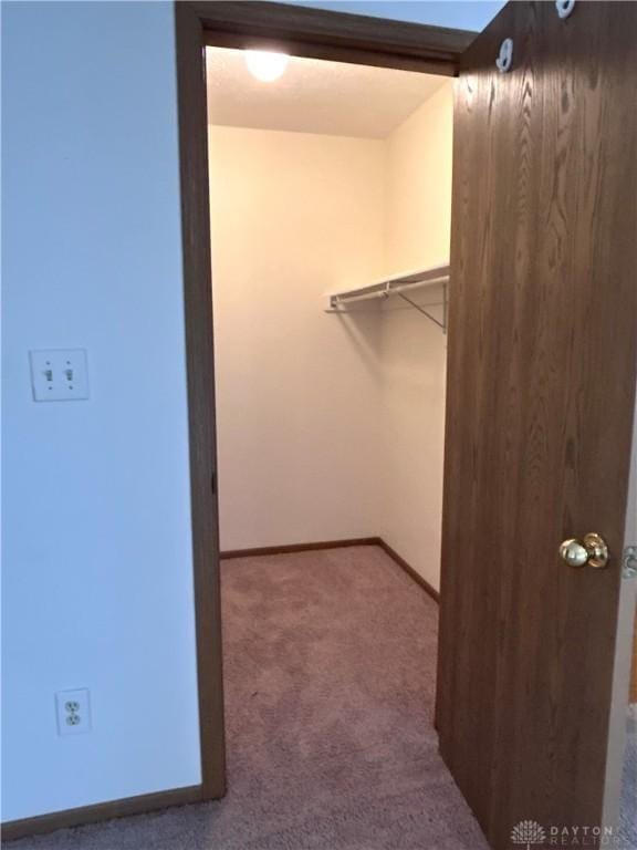 spacious closet with carpet floors