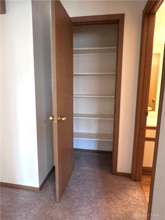 view of closet