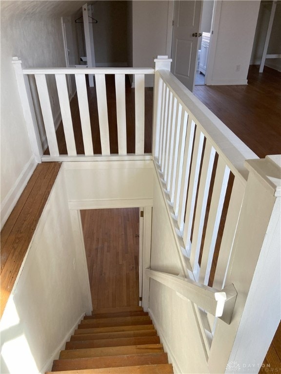 staircase featuring wood finished floors