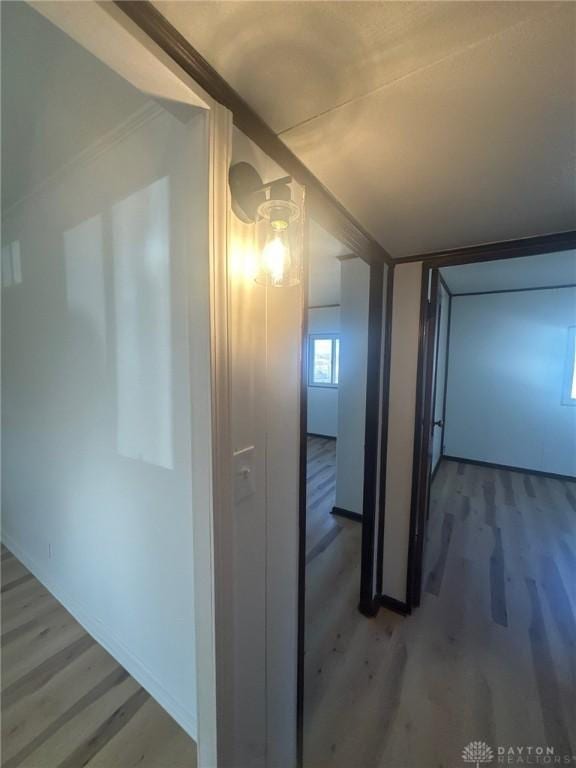 hallway featuring light wood finished floors