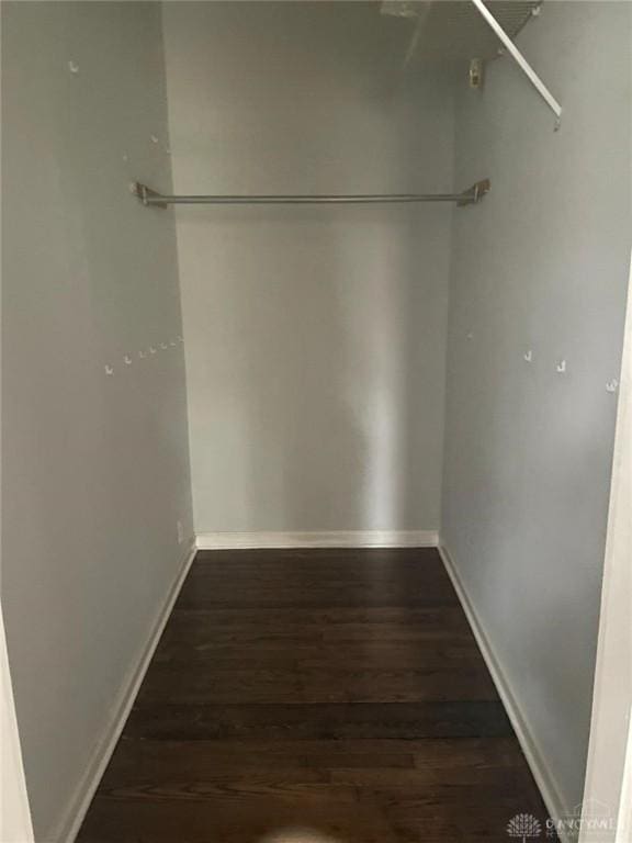 spacious closet featuring wood finished floors