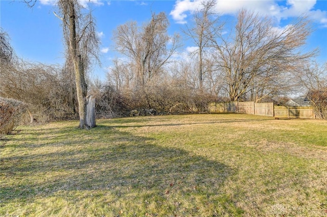 view of yard featuring fence