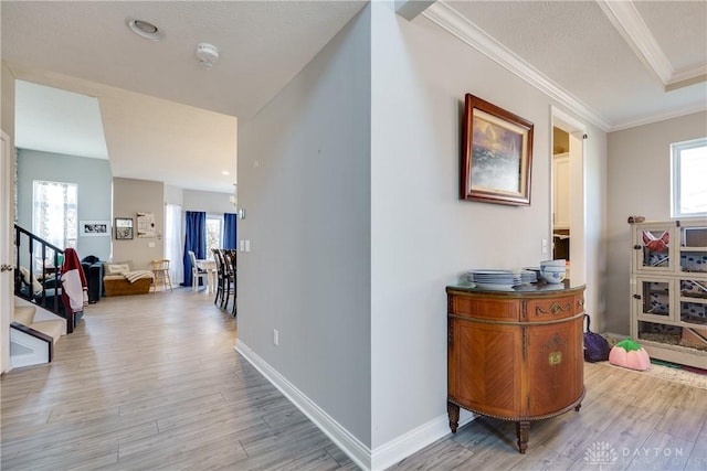 corridor with a wealth of natural light, crown molding, light wood-type flooring, and baseboards