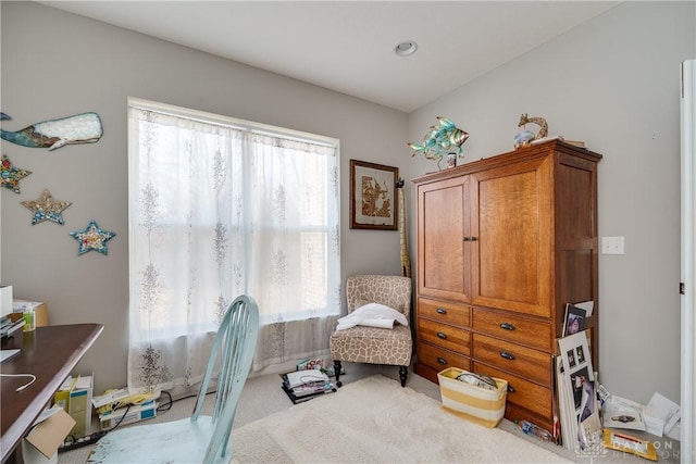 view of carpeted home office