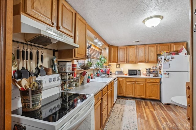 kitchen featuring white appliances, light wood finished floors, a sink, light countertops, and under cabinet range hood