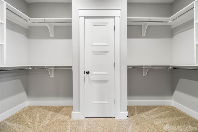 spacious closet featuring carpet floors