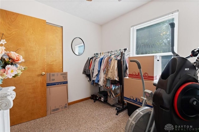 walk in closet with carpet flooring