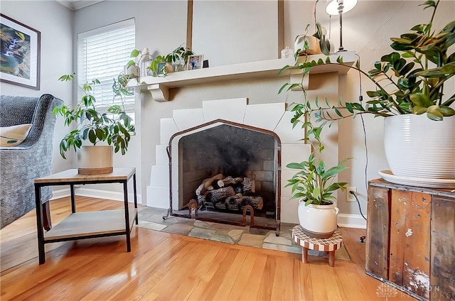 living area with wood finished floors and a fireplace