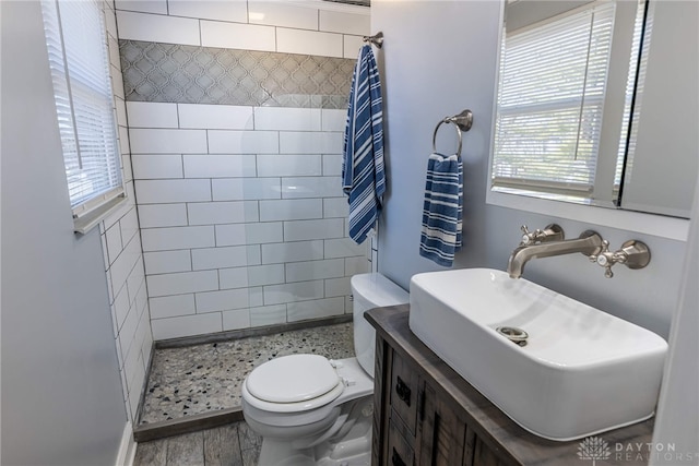 full bathroom featuring a wealth of natural light, toilet, a stall shower, and vanity