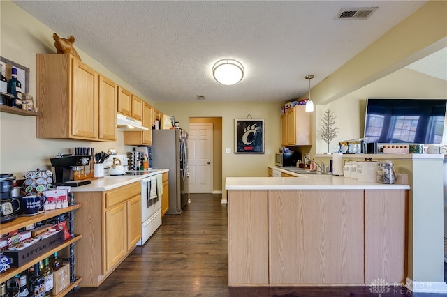 kitchen with visible vents, under cabinet range hood, light brown cabinetry, a peninsula, and stainless steel appliances