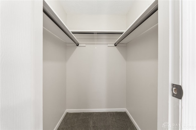 walk in closet with carpet