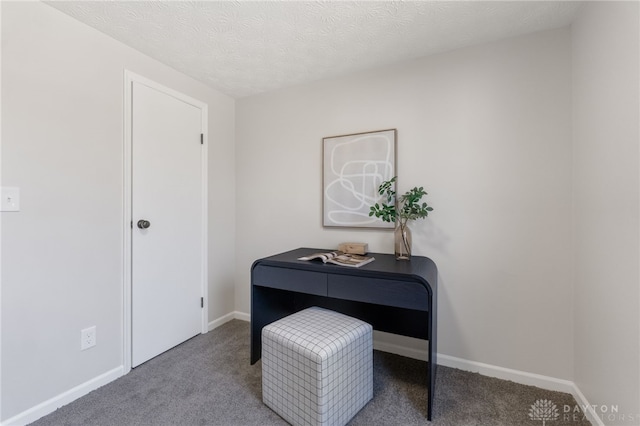 home office featuring baseboards, carpet floors, and a textured ceiling