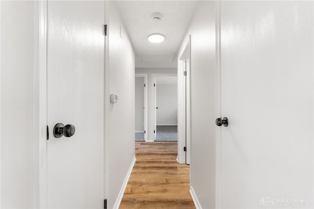 hall with baseboards, a textured ceiling, and light wood-style flooring