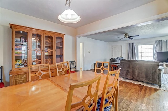 dining room with a ceiling fan and wood finished floors