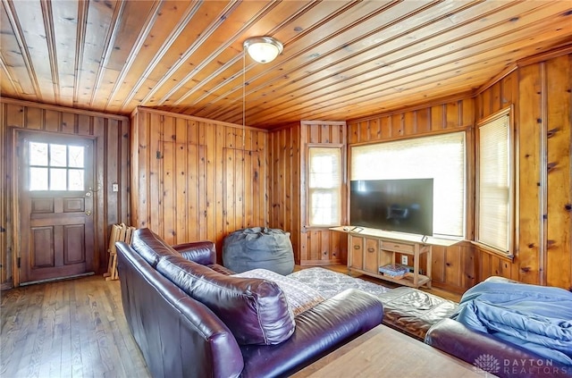 living area featuring a healthy amount of sunlight, wooden ceiling, wood walls, and wood-type flooring