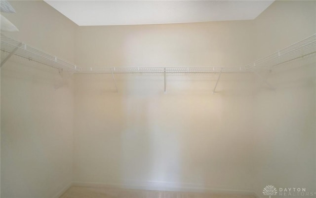 view of spacious closet