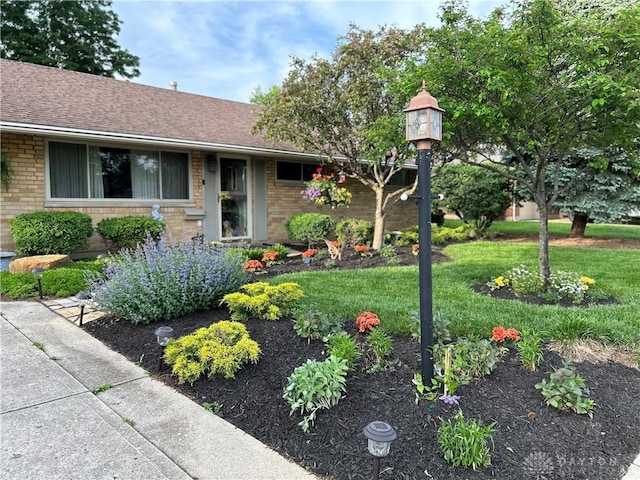 ranch-style home with a front yard, brick siding, and roof with shingles