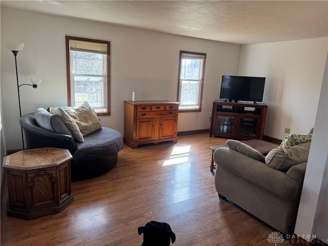 living area featuring baseboards, a textured ceiling, and wood finished floors