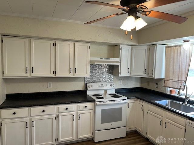 kitchen with under cabinet range hood, white cabinets, white appliances, and a sink