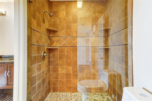 full bathroom featuring a shower stall and toilet