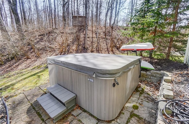 view of yard featuring a hot tub