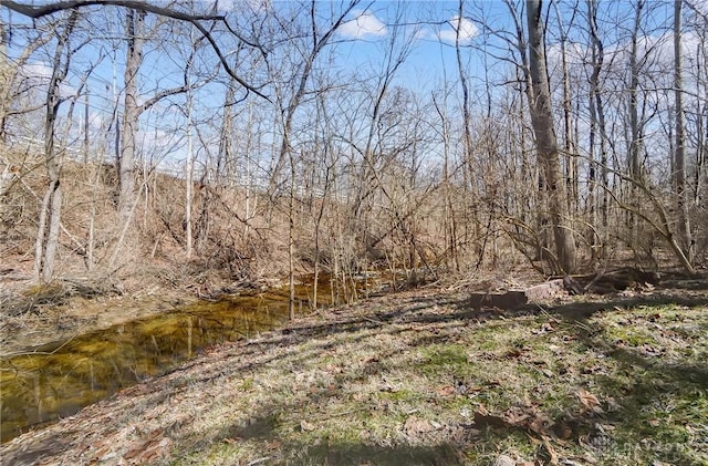 view of nature with a forest view