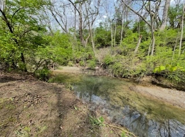 view of local wilderness featuring a forest view