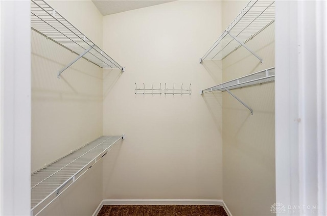 view of walk in closet