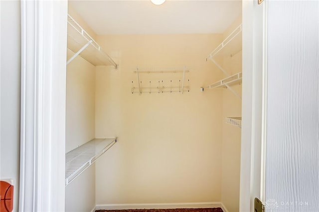 view of spacious closet